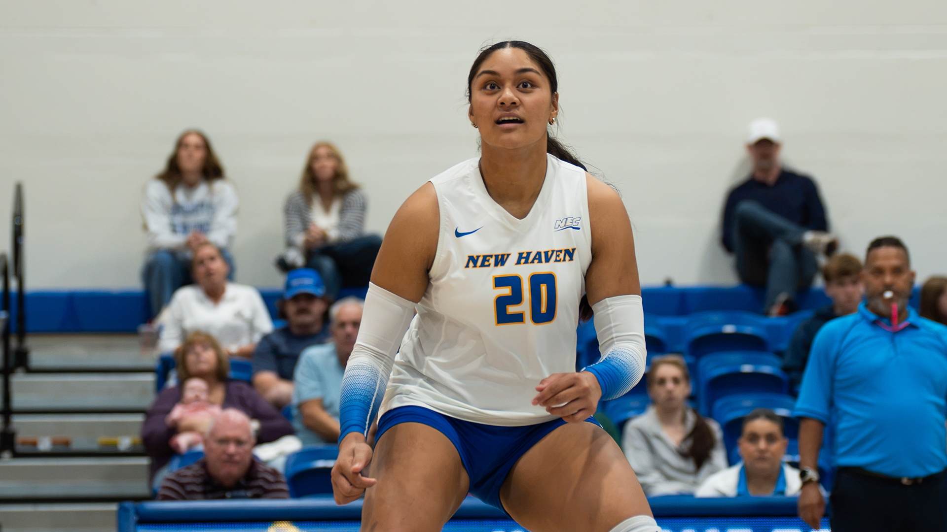 Marley Alefaio Stonehill