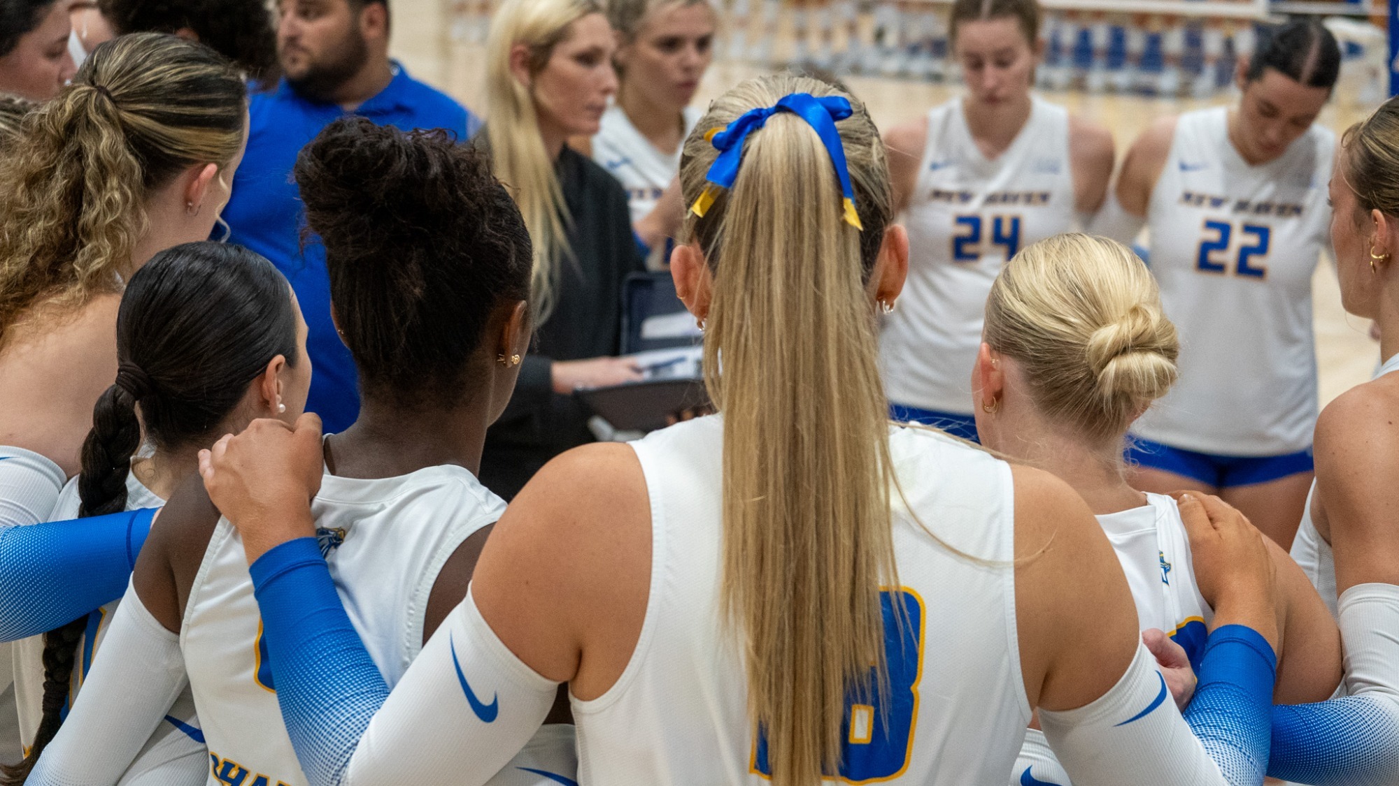 New Haven Volleyball Hosts Holy Cross in Home Opener