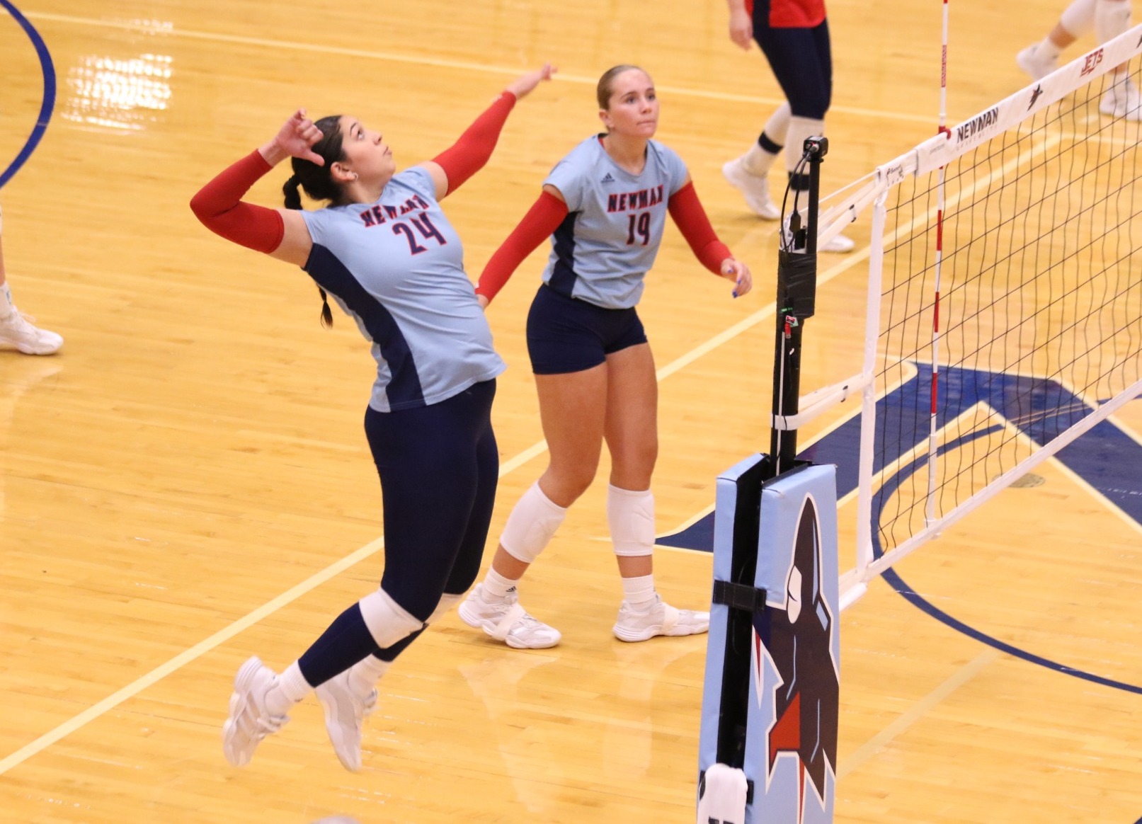 Volleyball vs MSSU Recap