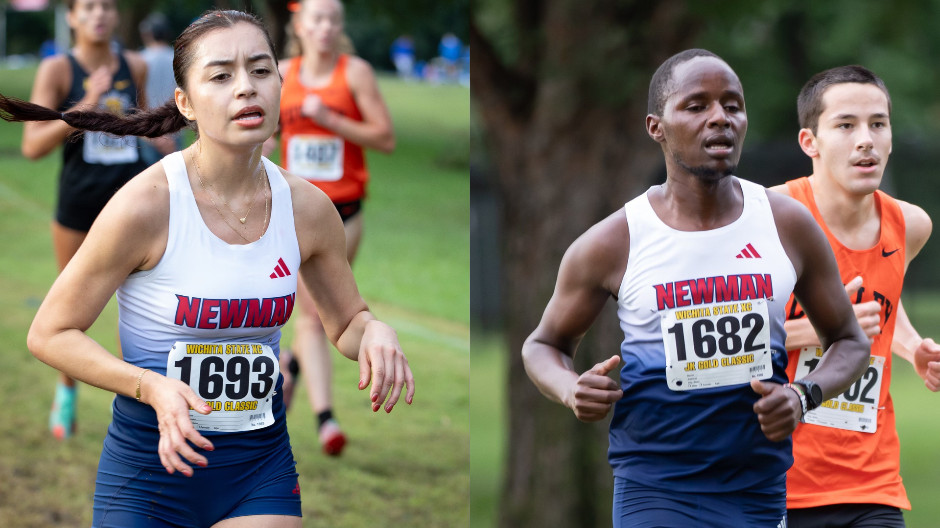 Cross Country Recap