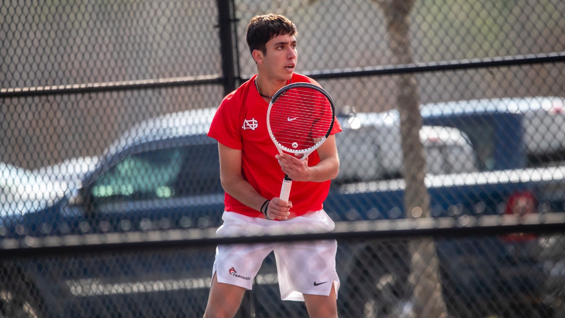 Timini vs. Limestone