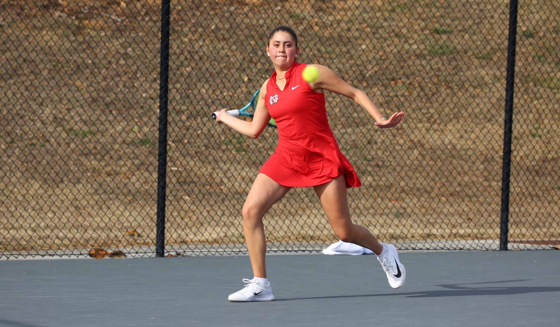 women's tennis vs lander