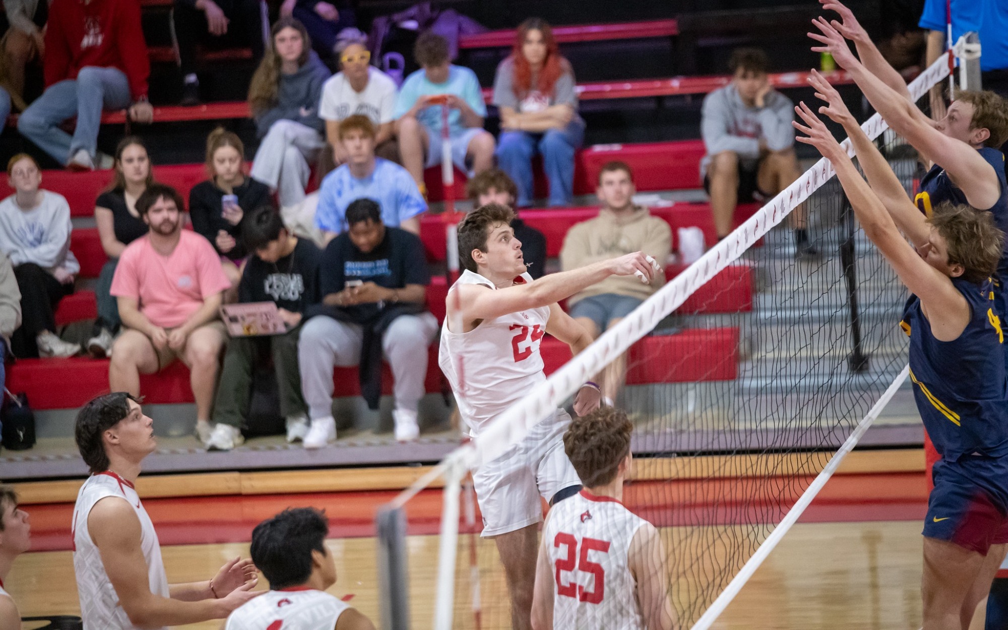 Thomas Roper vs Barton