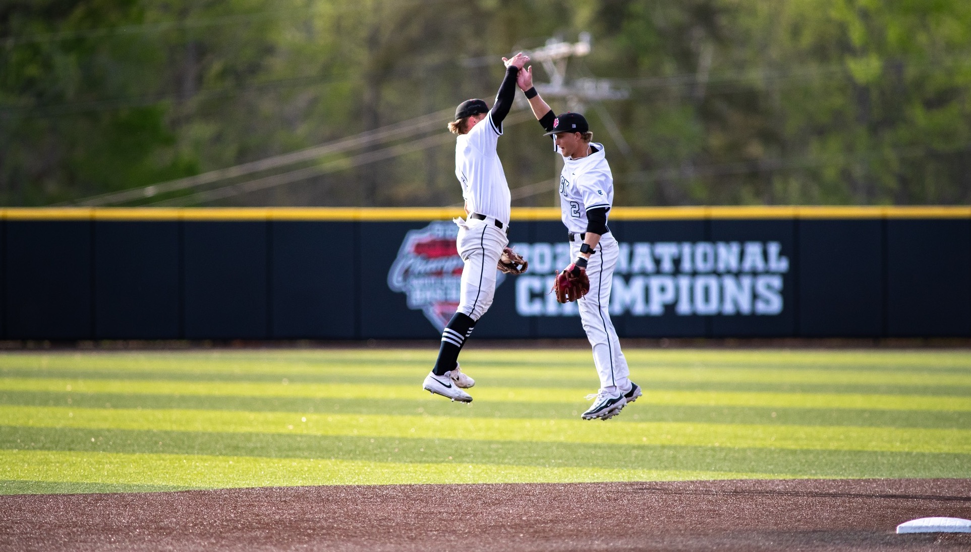 baseball celebration 