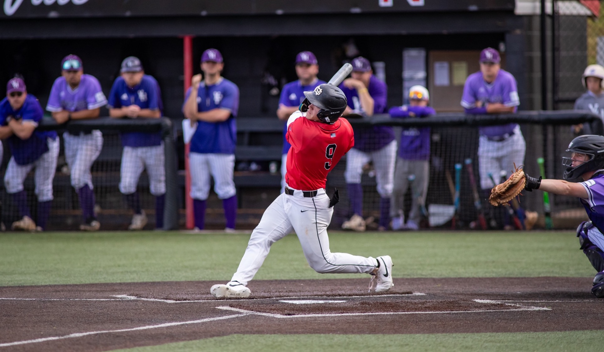 Thomas Powell vs Young Harris 