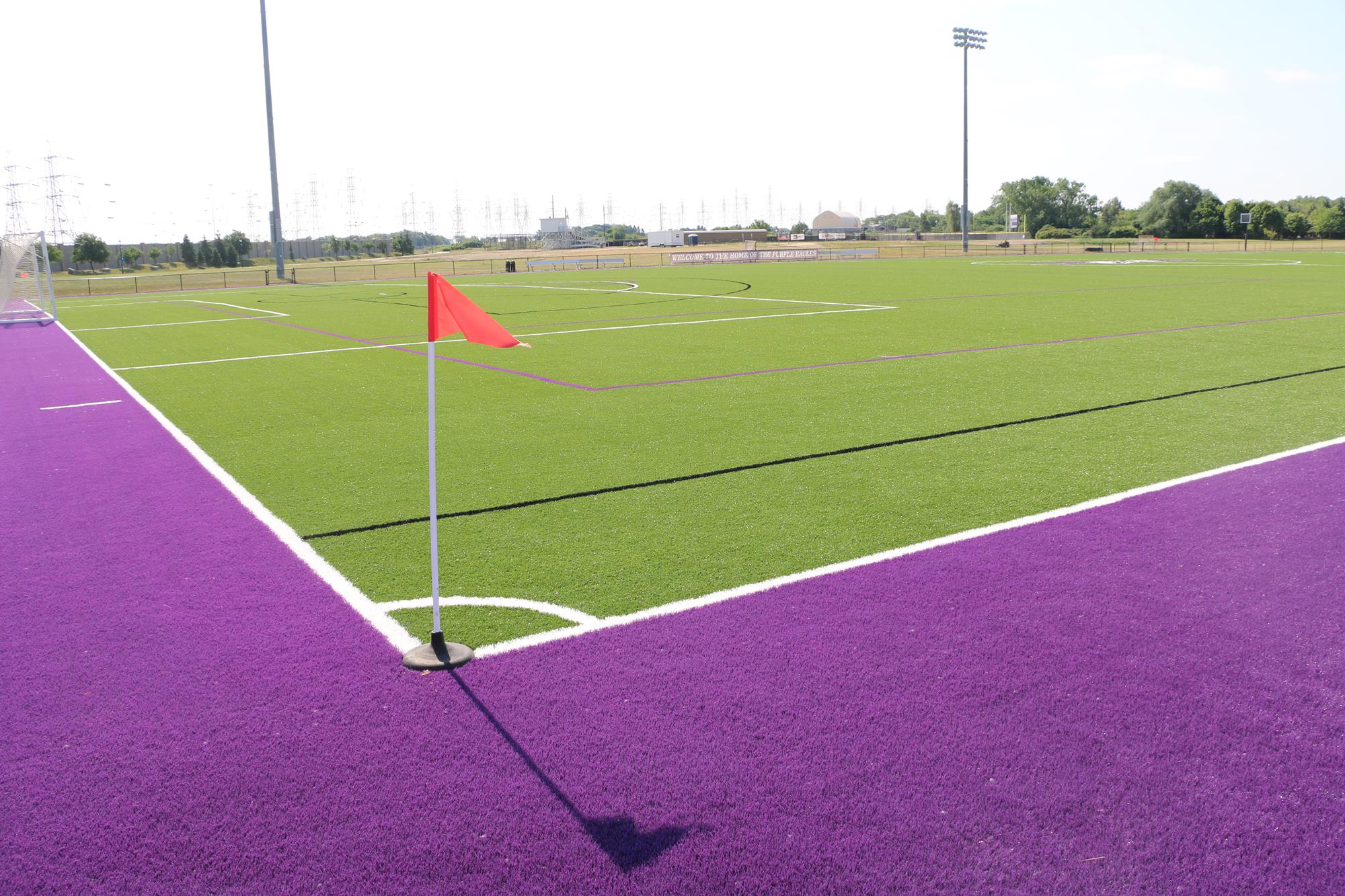 Niagara Field
