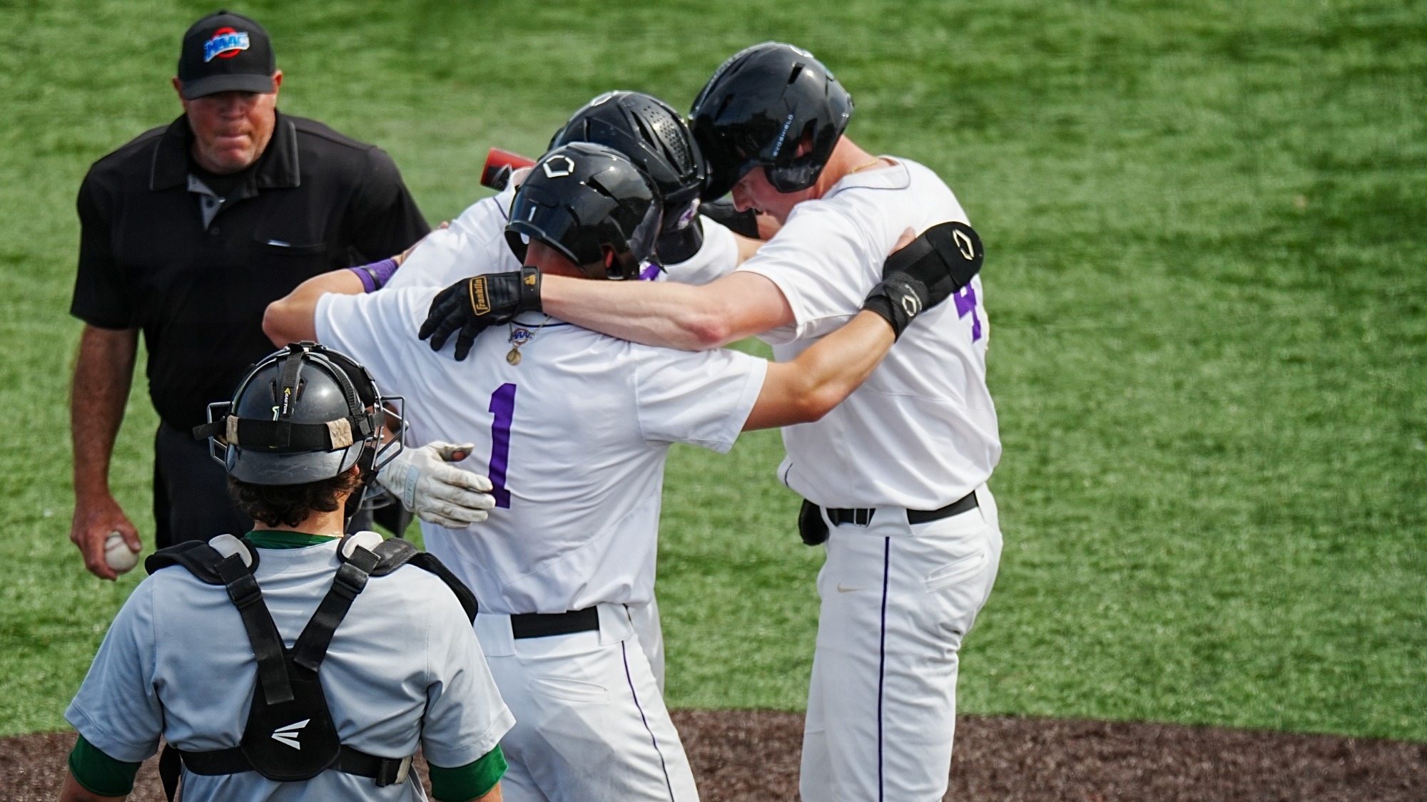 Purple Eagles Drop Midweek Slugfest Niagara University Athletics