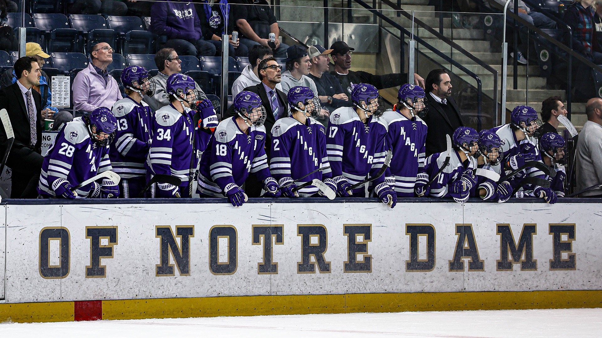 Niagara Hockey Bench Against Notre Dame 10/8/26
