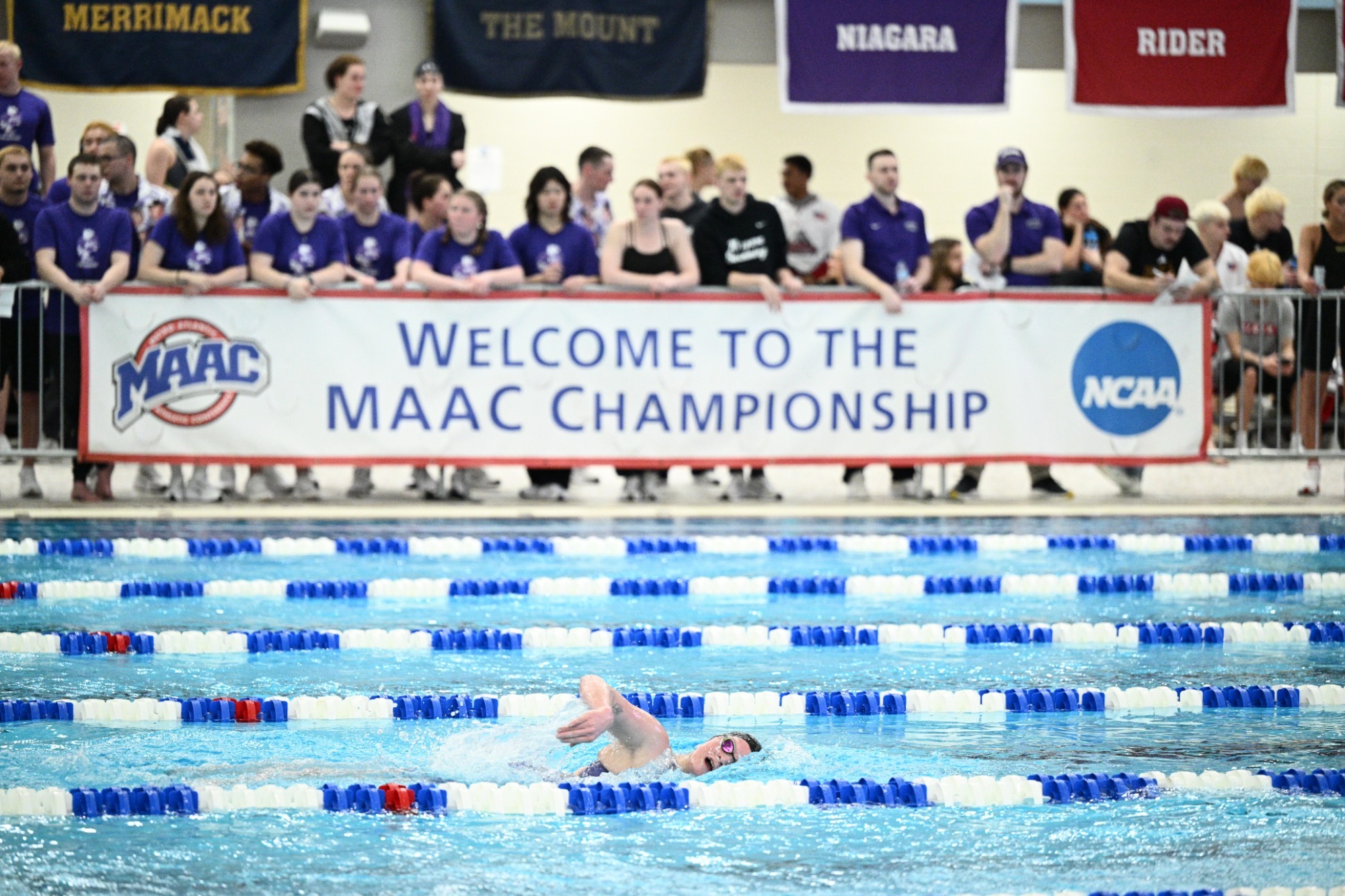 Marty Divis at the 2026 MAAC Championship