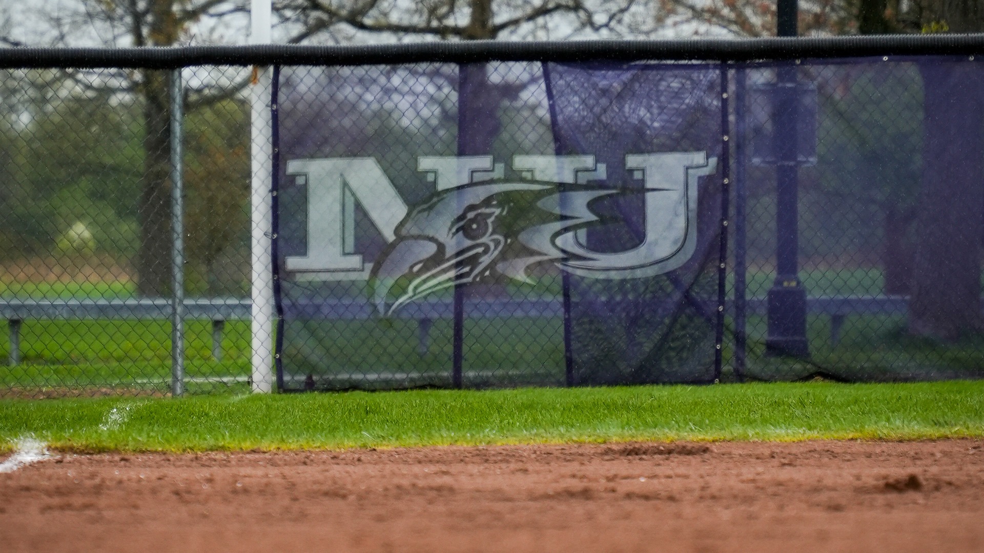 Niagara Softball
