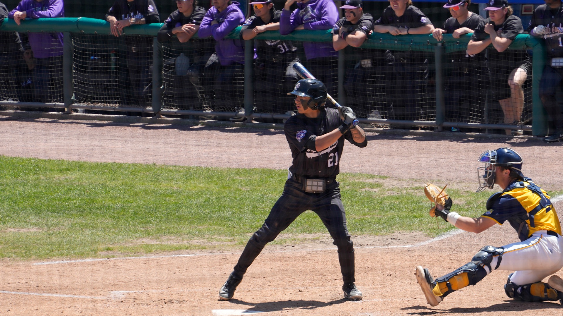 Tyler ViVacqua Bats Against Quinnipiac in the 2025 MAAC Championships