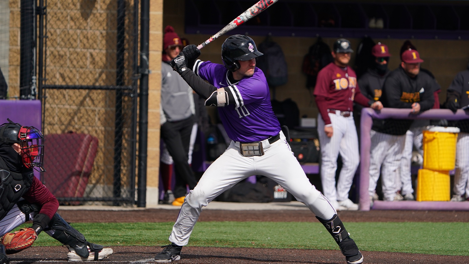 Curtis McKay bats against Iona 2026