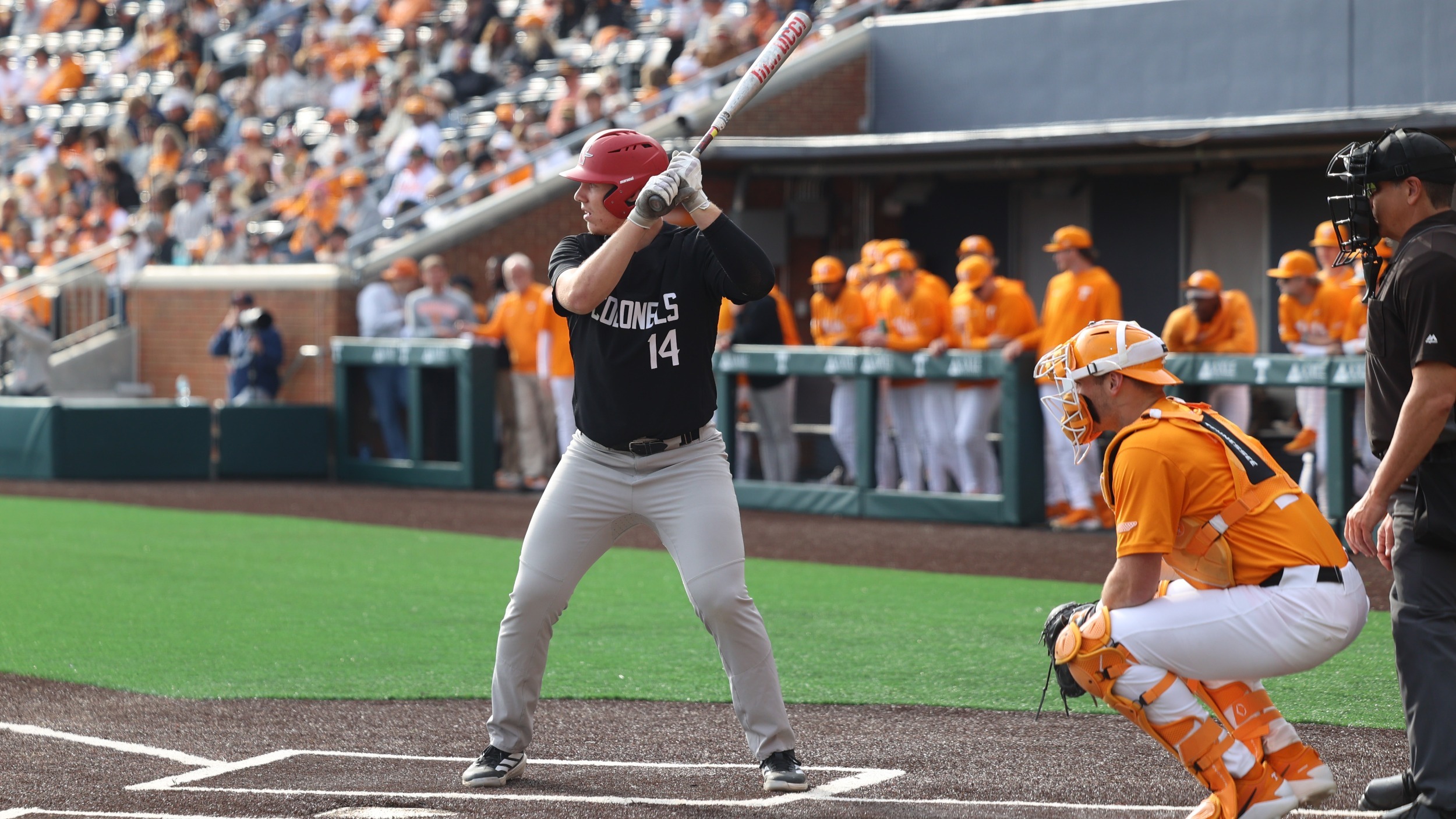 Caston Thompson at UT