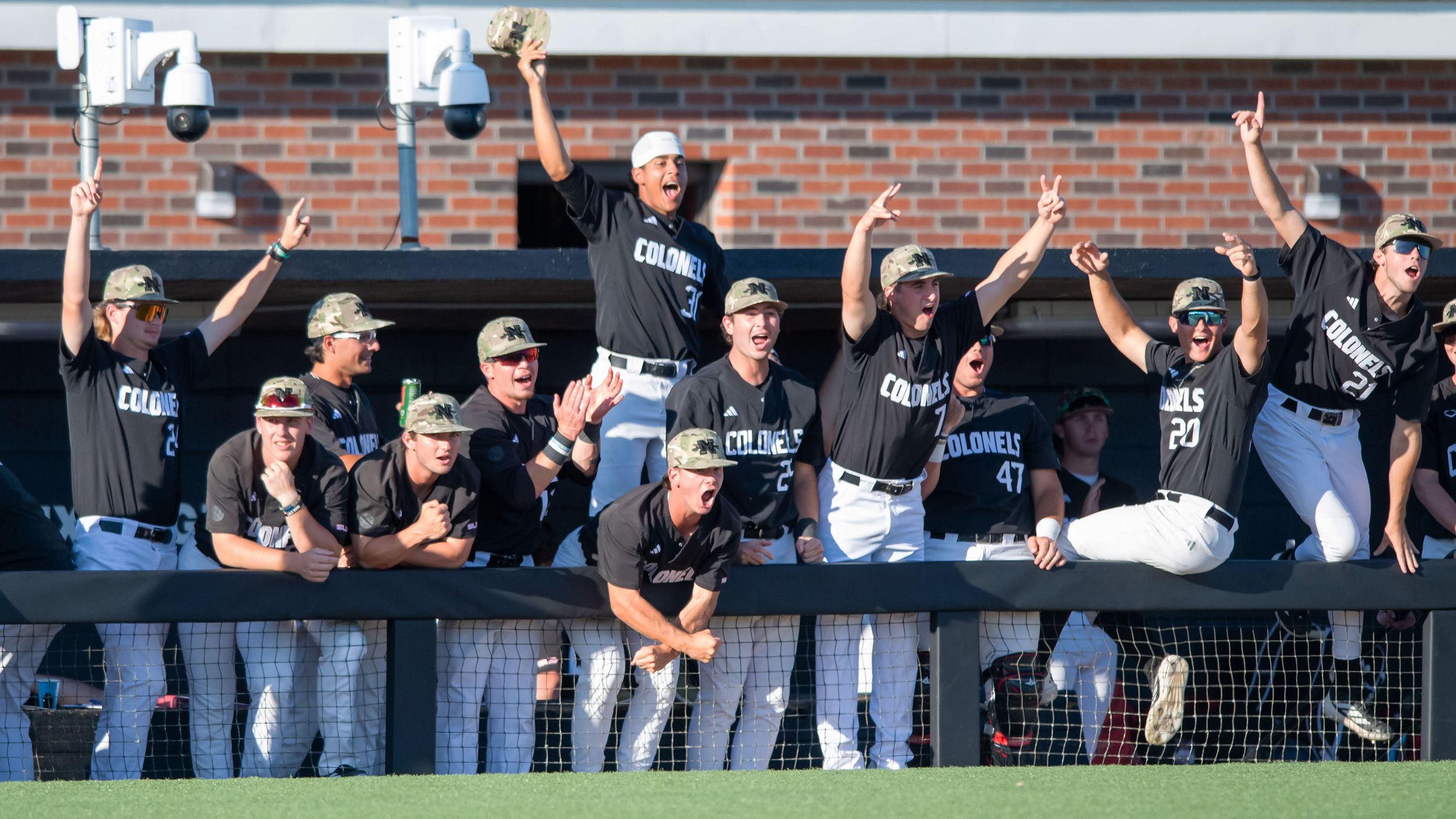 Nicholls BSB Dugout Celebrates a positive play