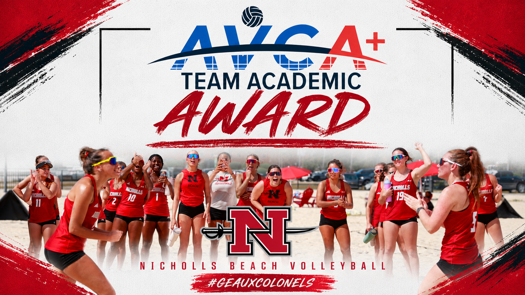 AVCA BVB Academic