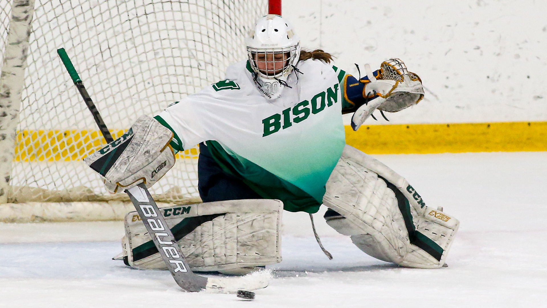 Victoria Bakopanos Women's Ice Hockey Nichols College Athletics