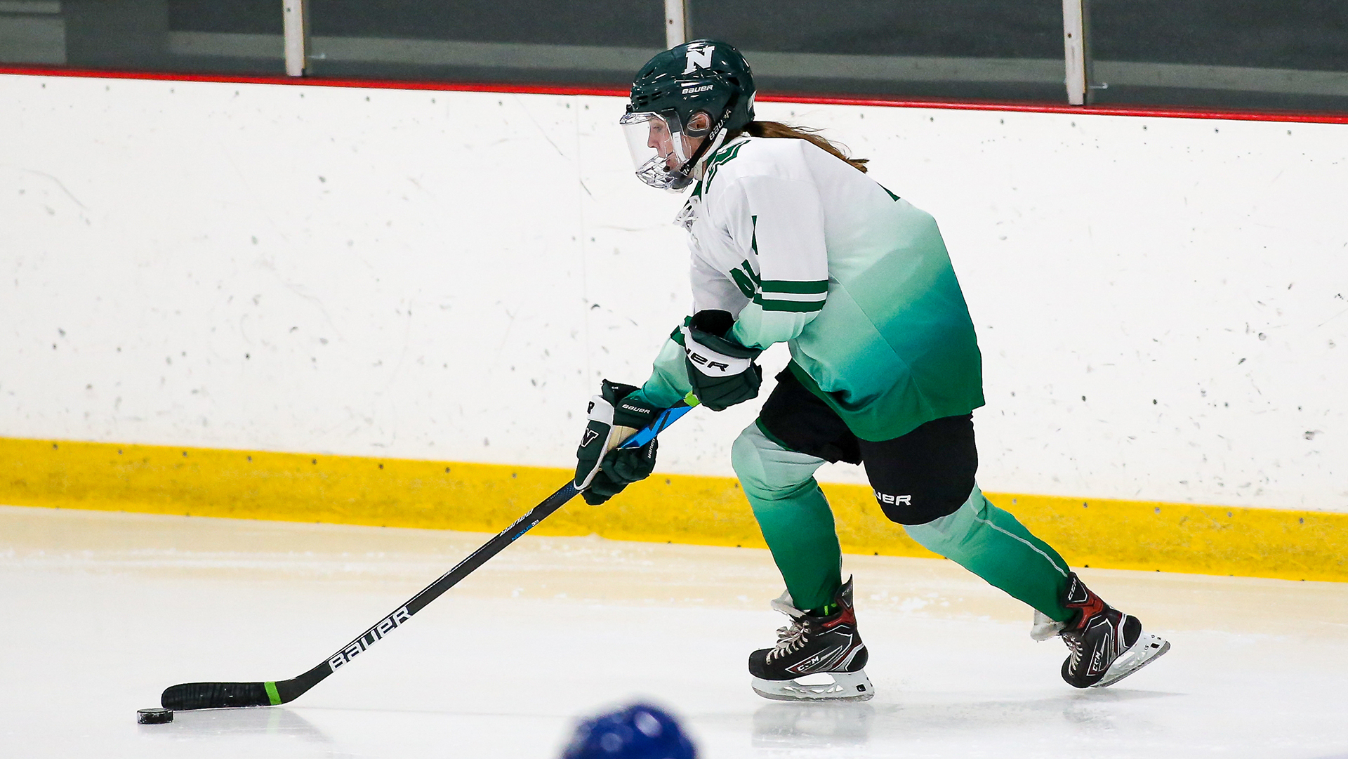 Meghan McElaney - Women's Ice Hockey - Nichols College Athletics
