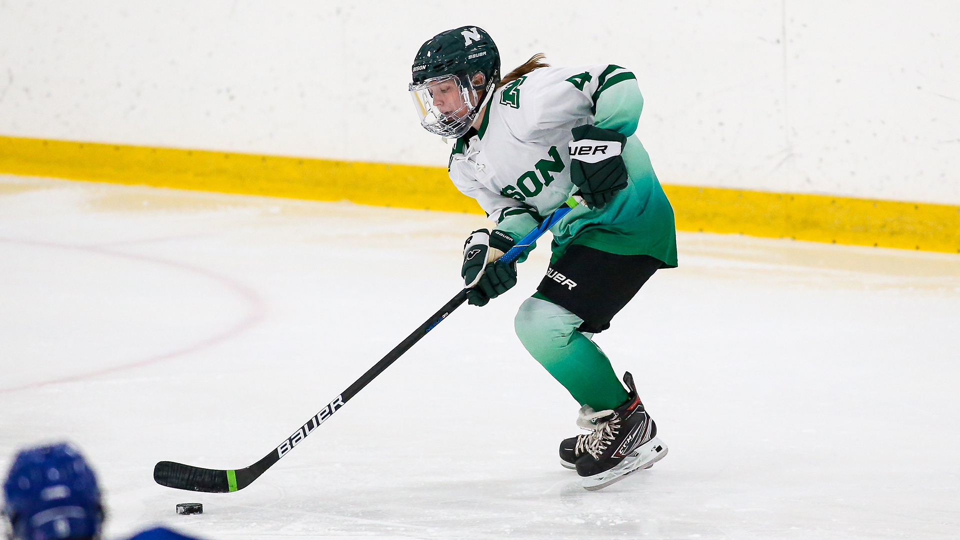 Meghan McElaney Women's Ice Hockey Nichols College Athletics