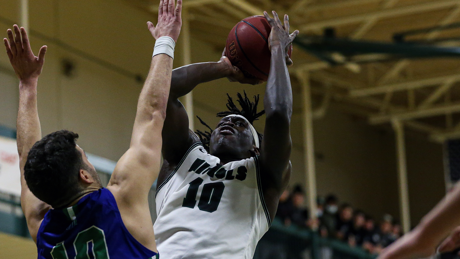 Matthew Alectus Men's Basketball Nichols College Athletics