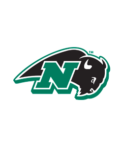 Bison Logo