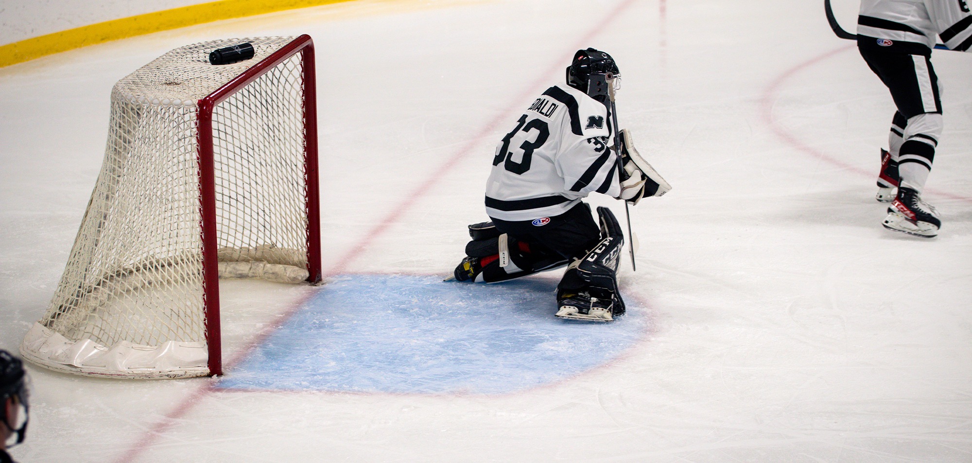 Men’s Hockey Downed by No. 13 Curry Nichols College Athletics