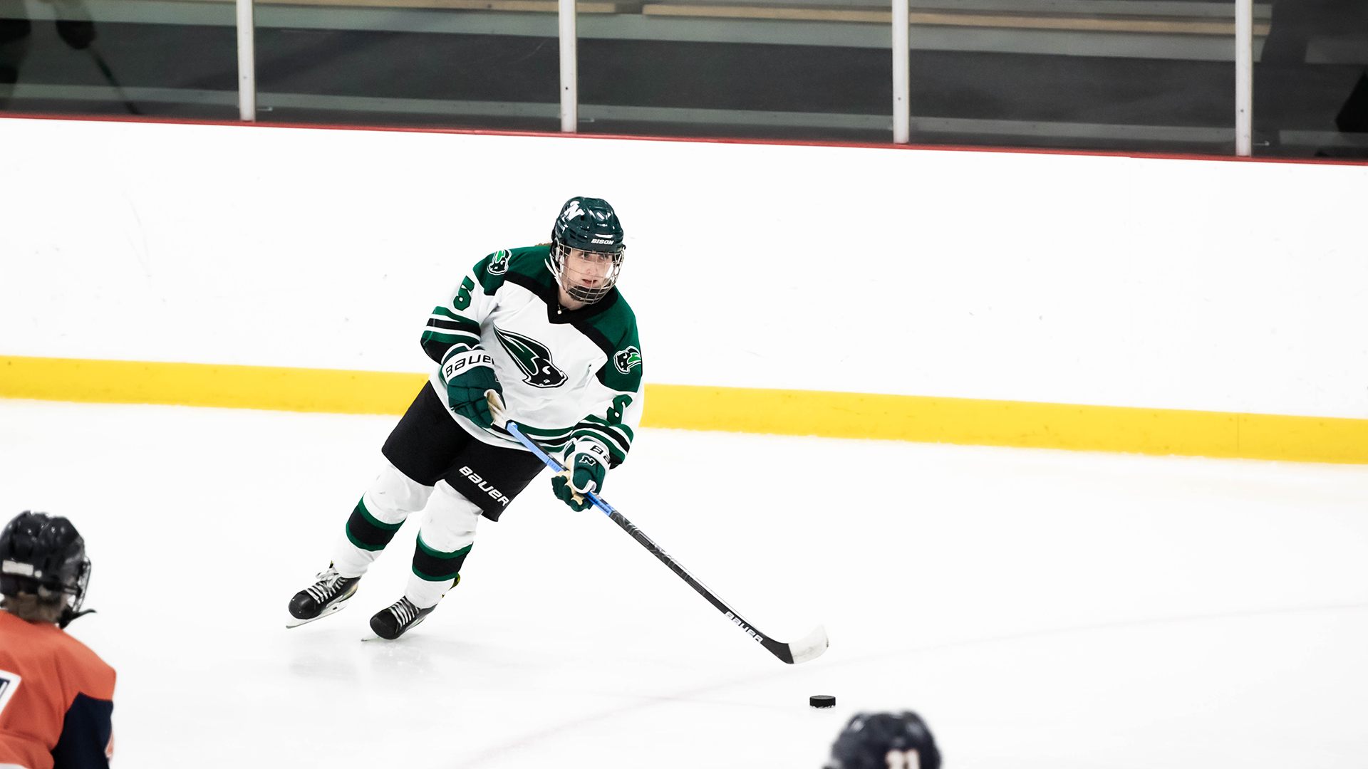 Ema Jaskova Women's Ice Hockey Nichols College Athletics