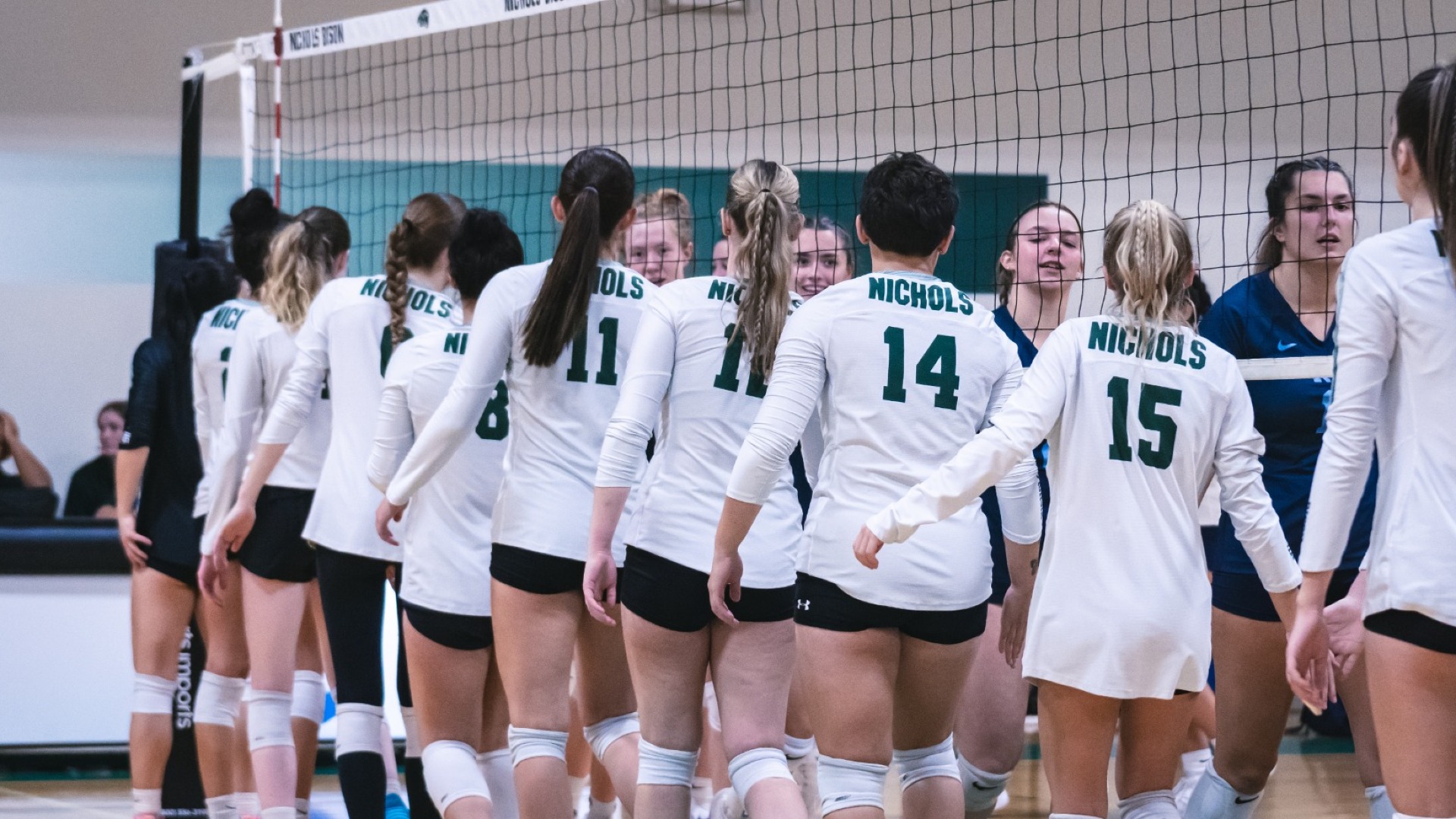 Women's Volleyball Completes Season With 30 Loss to UNE Nichols College Athletics