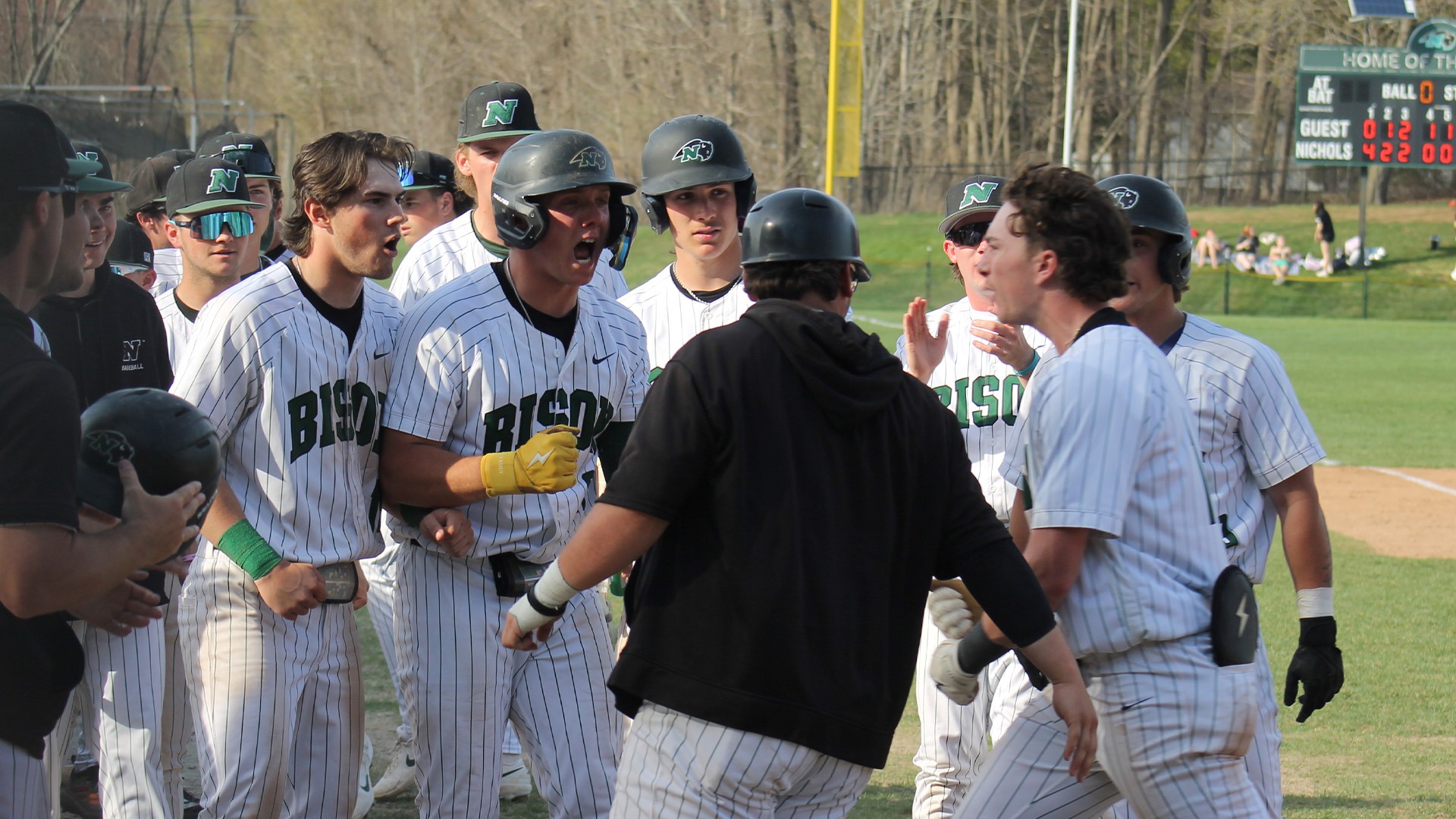 Baseball Celebration
