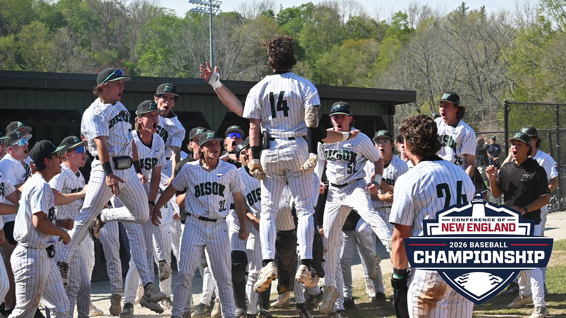 Baseball Home Run Celly