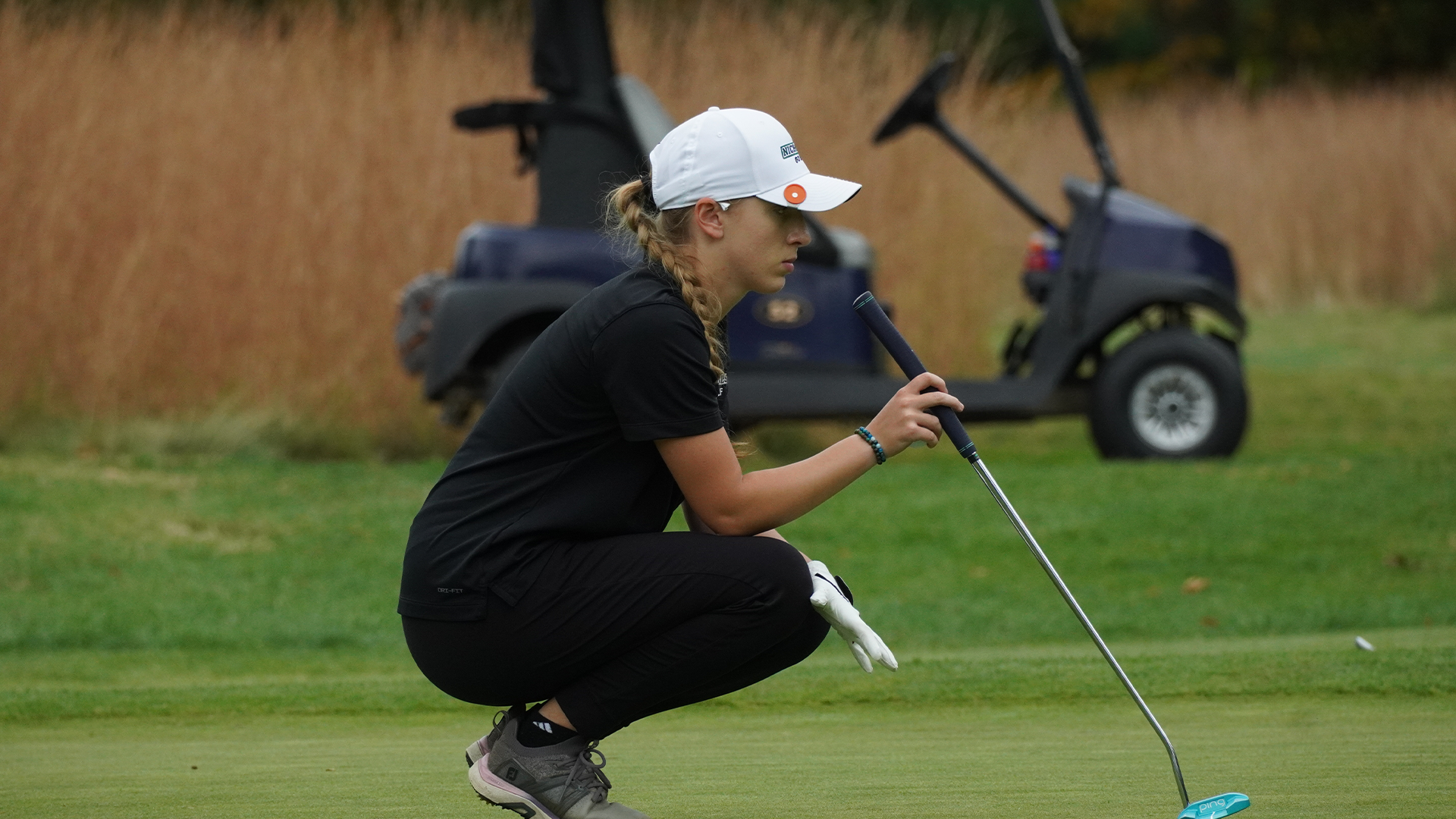 wgolf_preview26