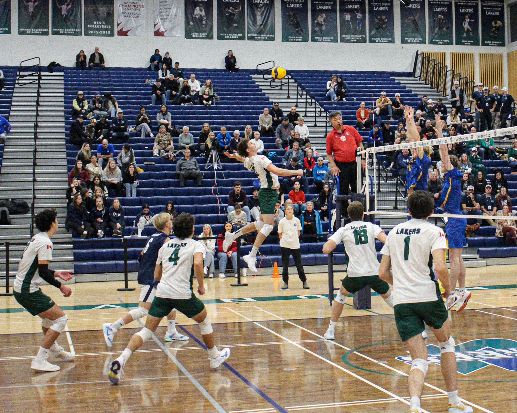 Lakers sweep weekend series with TMU Bold