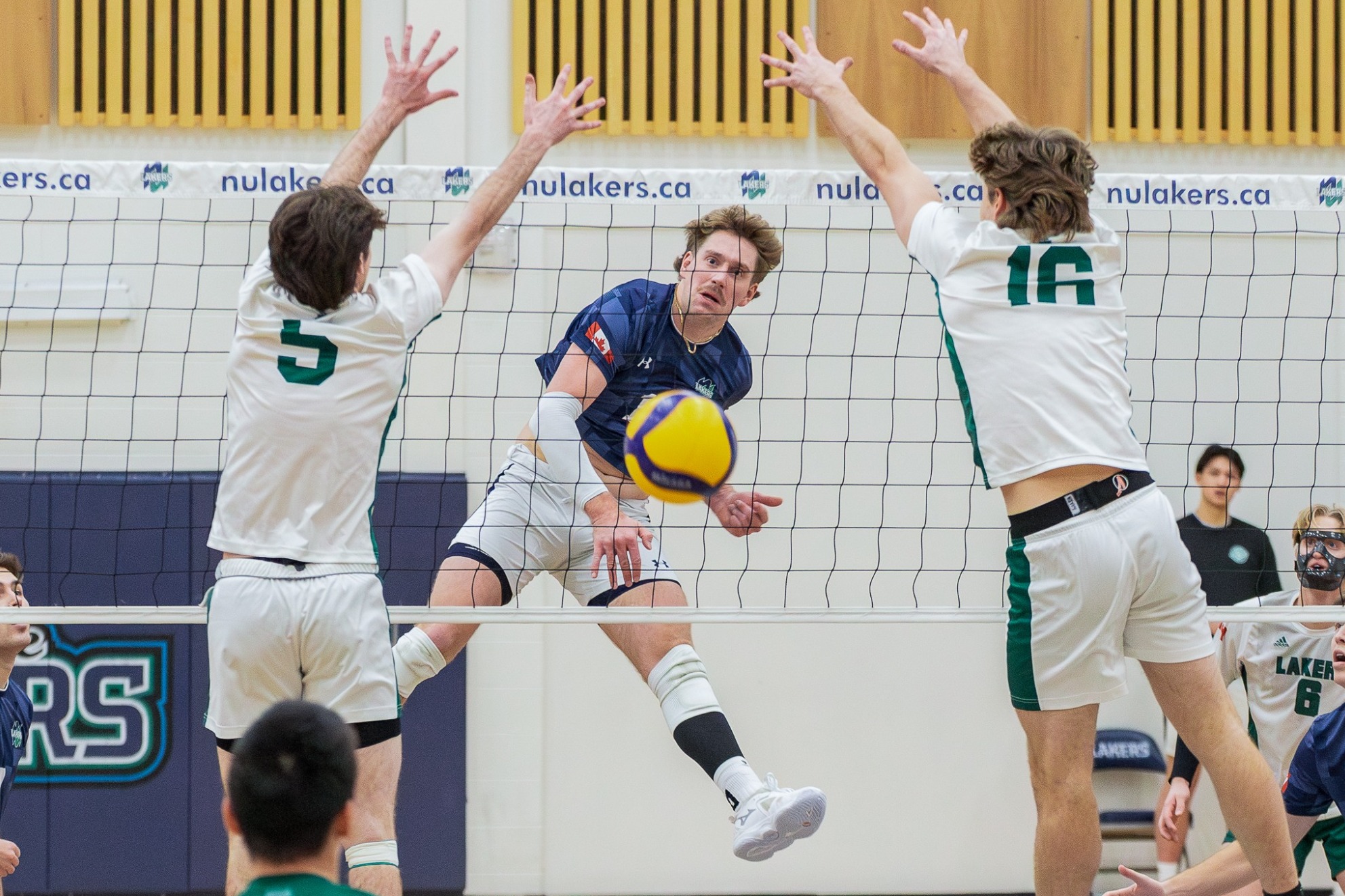 Men's Volleyball Marchand kills a ball against Trent