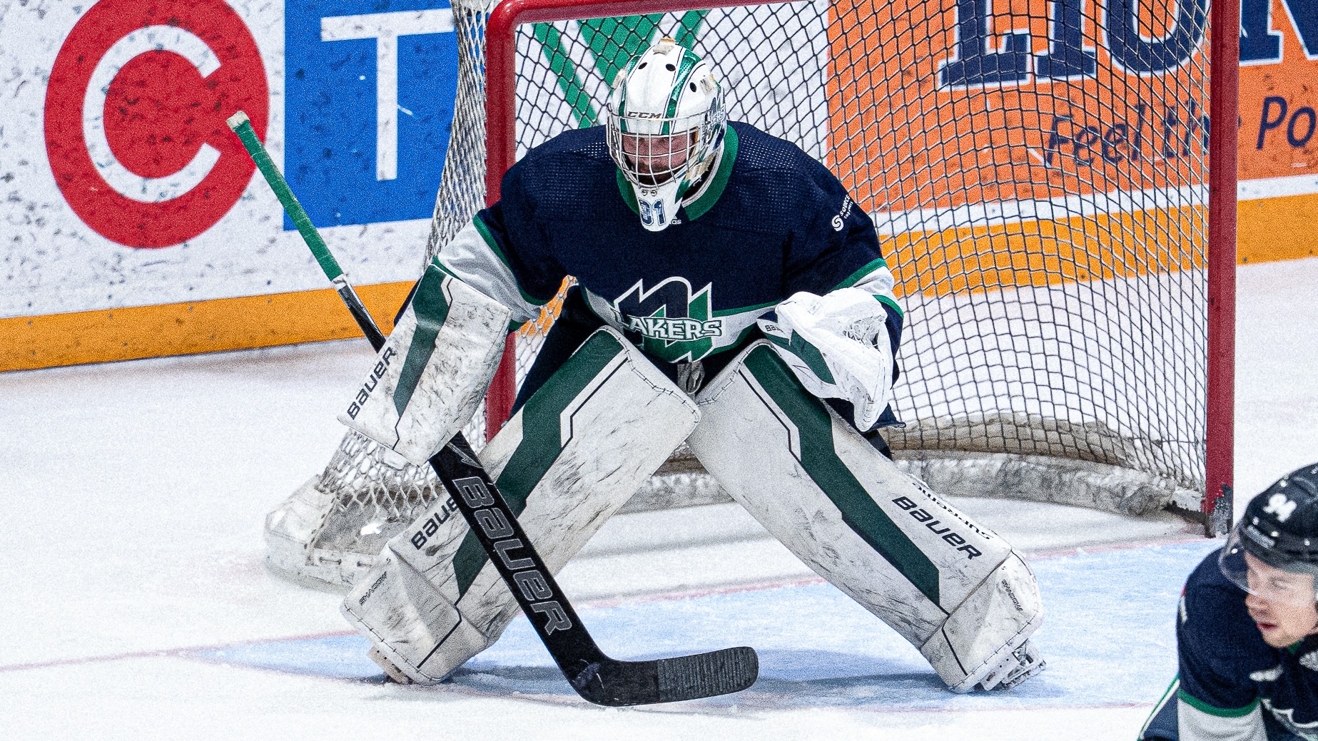 Zach Roy