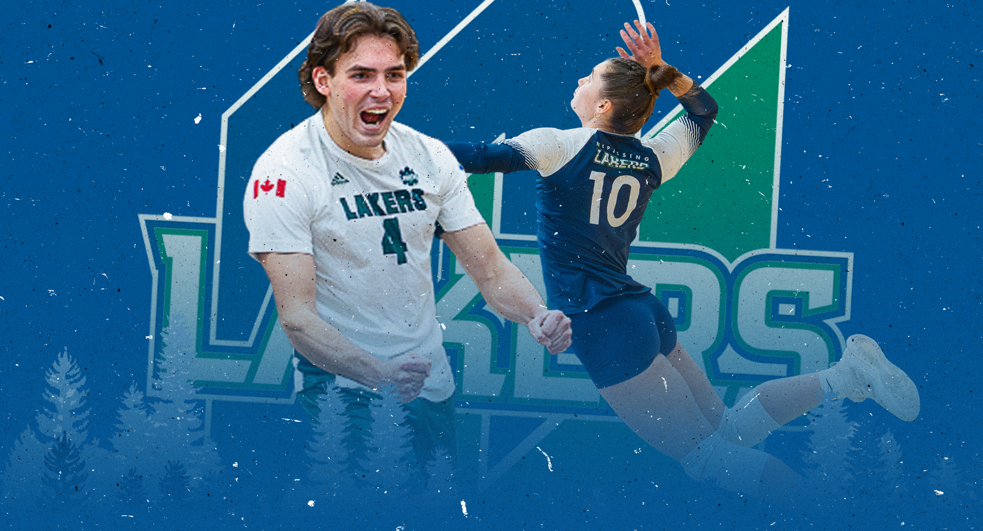 WVB/MVB cover