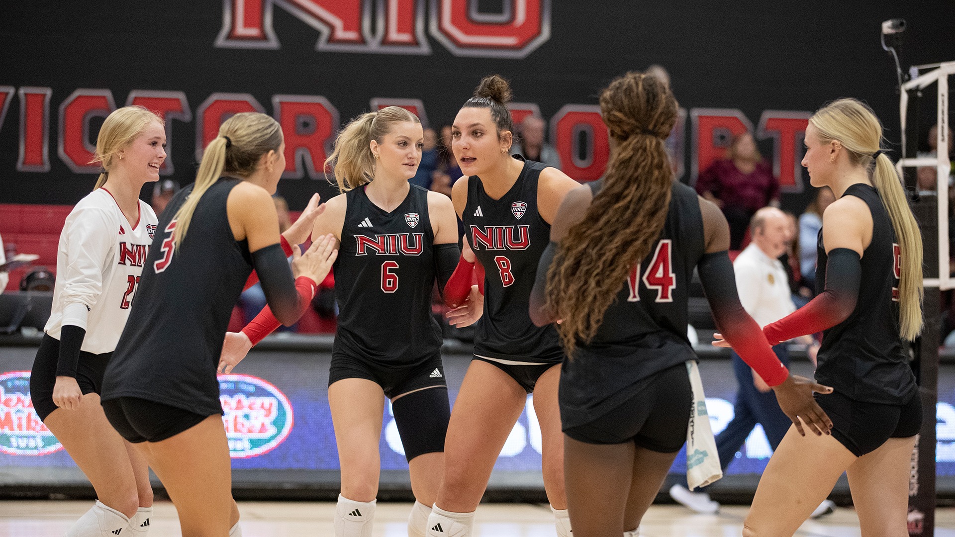 Volleyball Team Huddle on Court