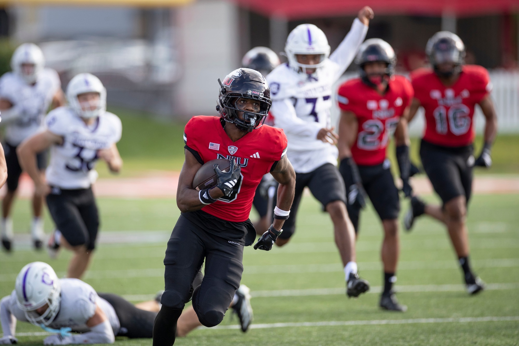FB25 Dev'ion Reynolds