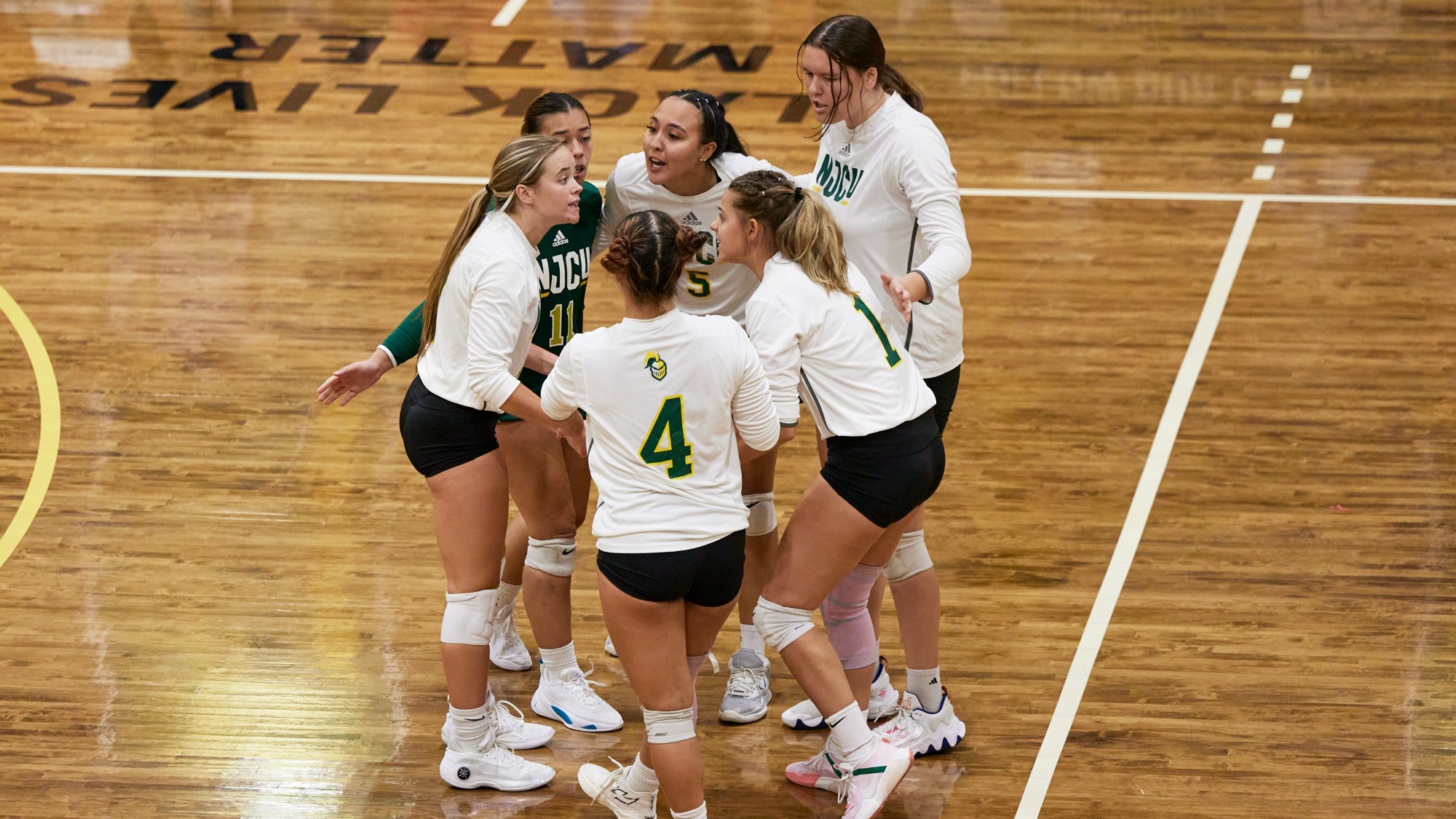 Carly Everett Women's Volleyball New Jersey City University Athletics