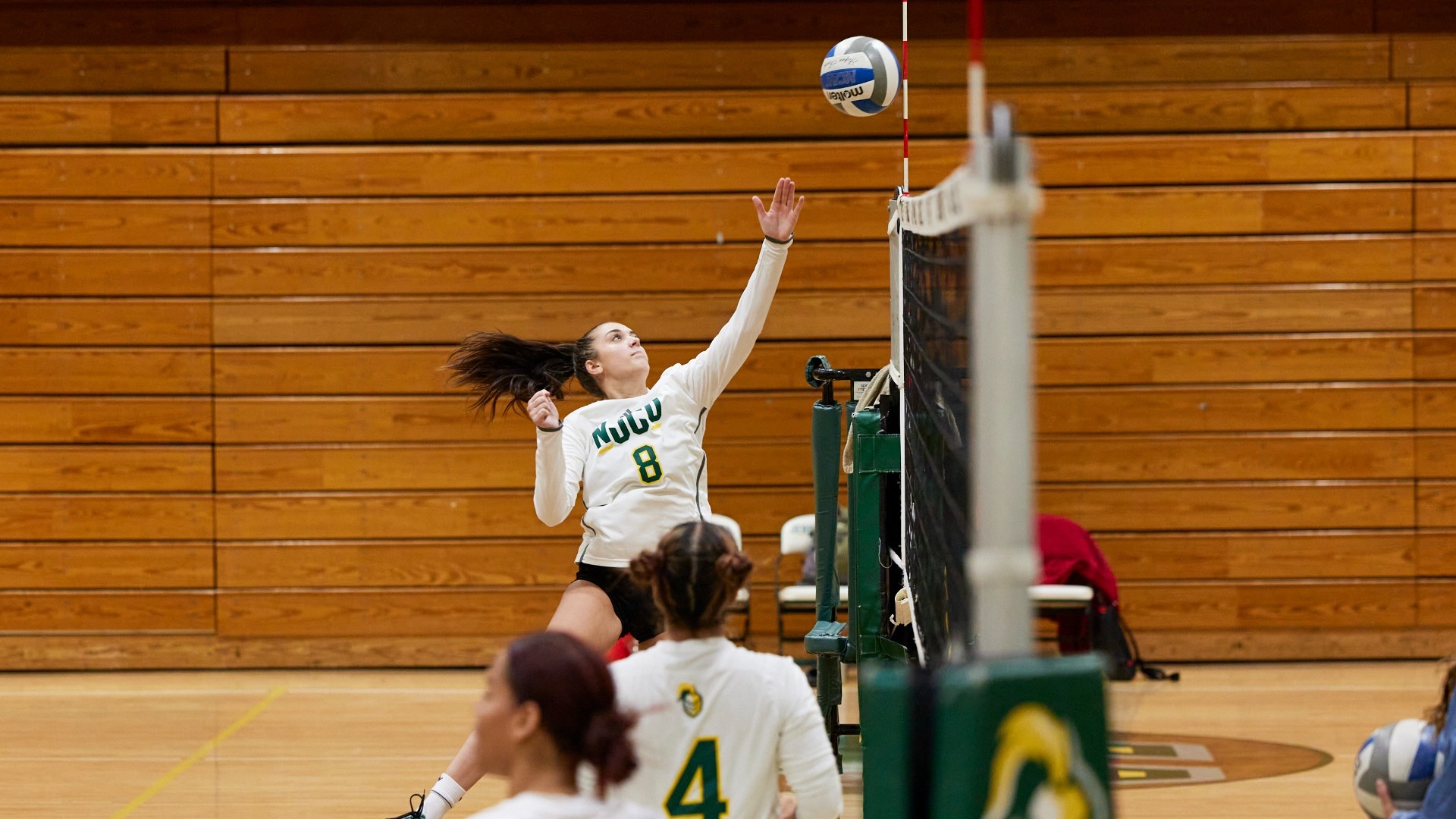 Kiley Jurcisin Women's Volleyball New Jersey City University Athletics