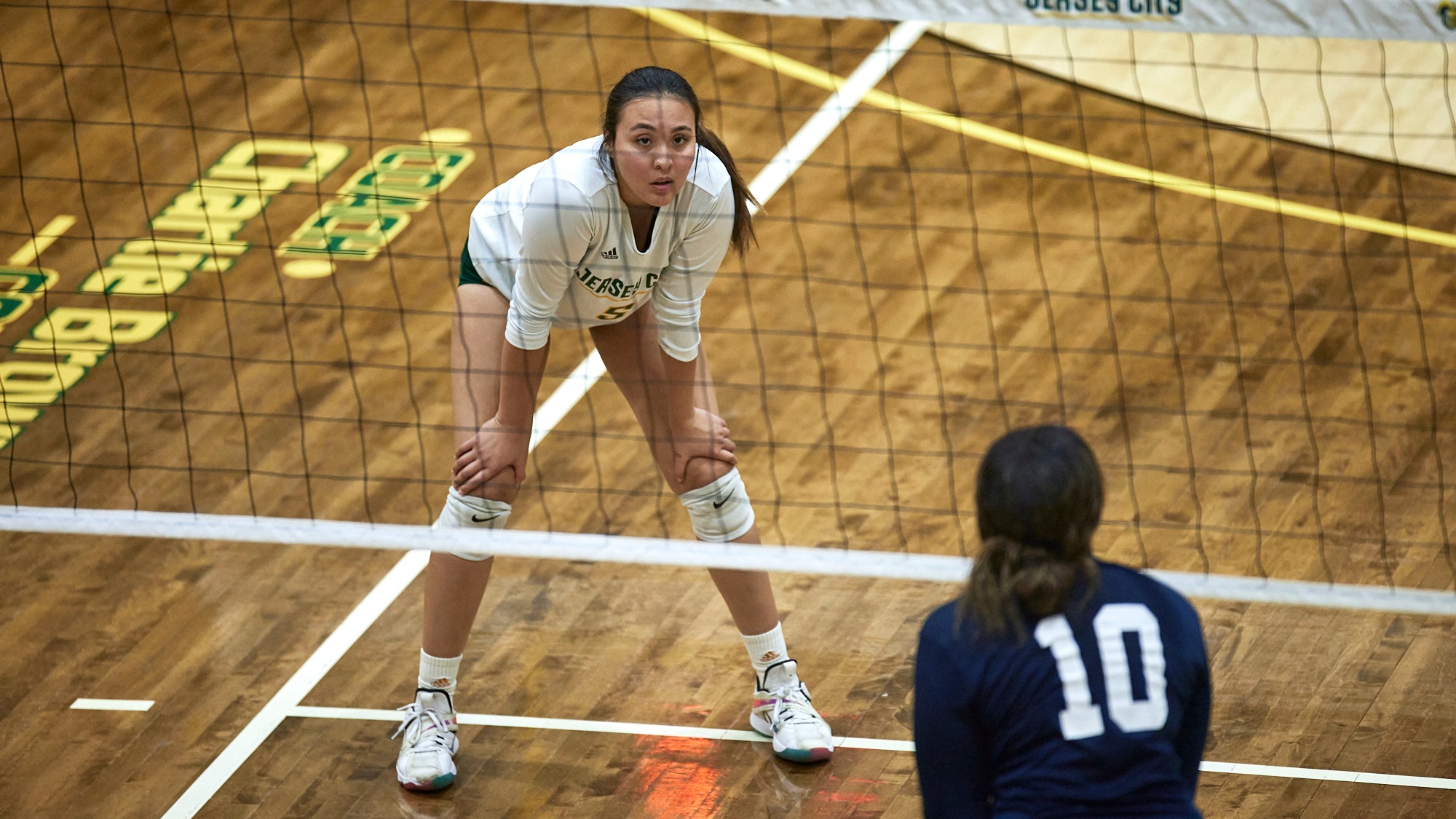 Brenda Gonzalez Women's Volleyball New Jersey City University Athletics
