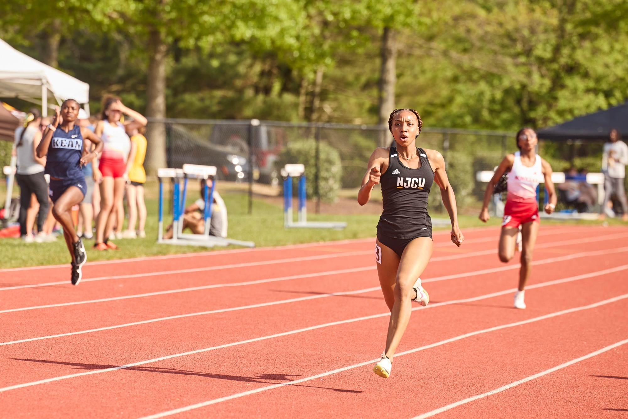 2025_WTF_Raven Orange