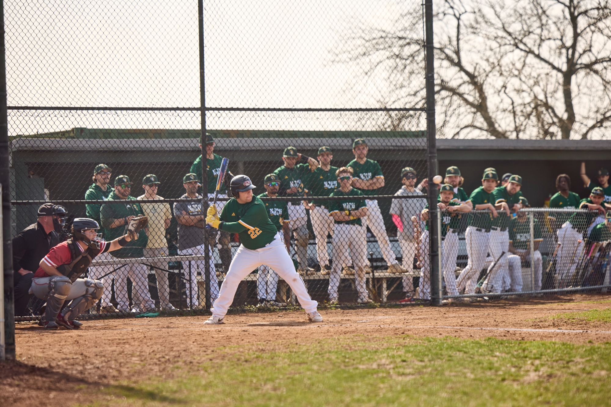 2026_BASE_Brandon Piacenza