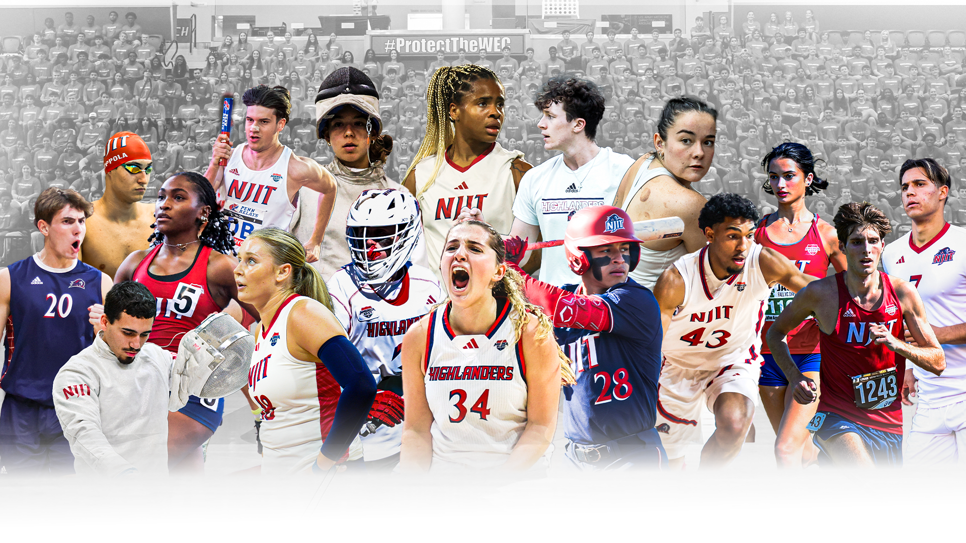 All Sport RollTech Challenge