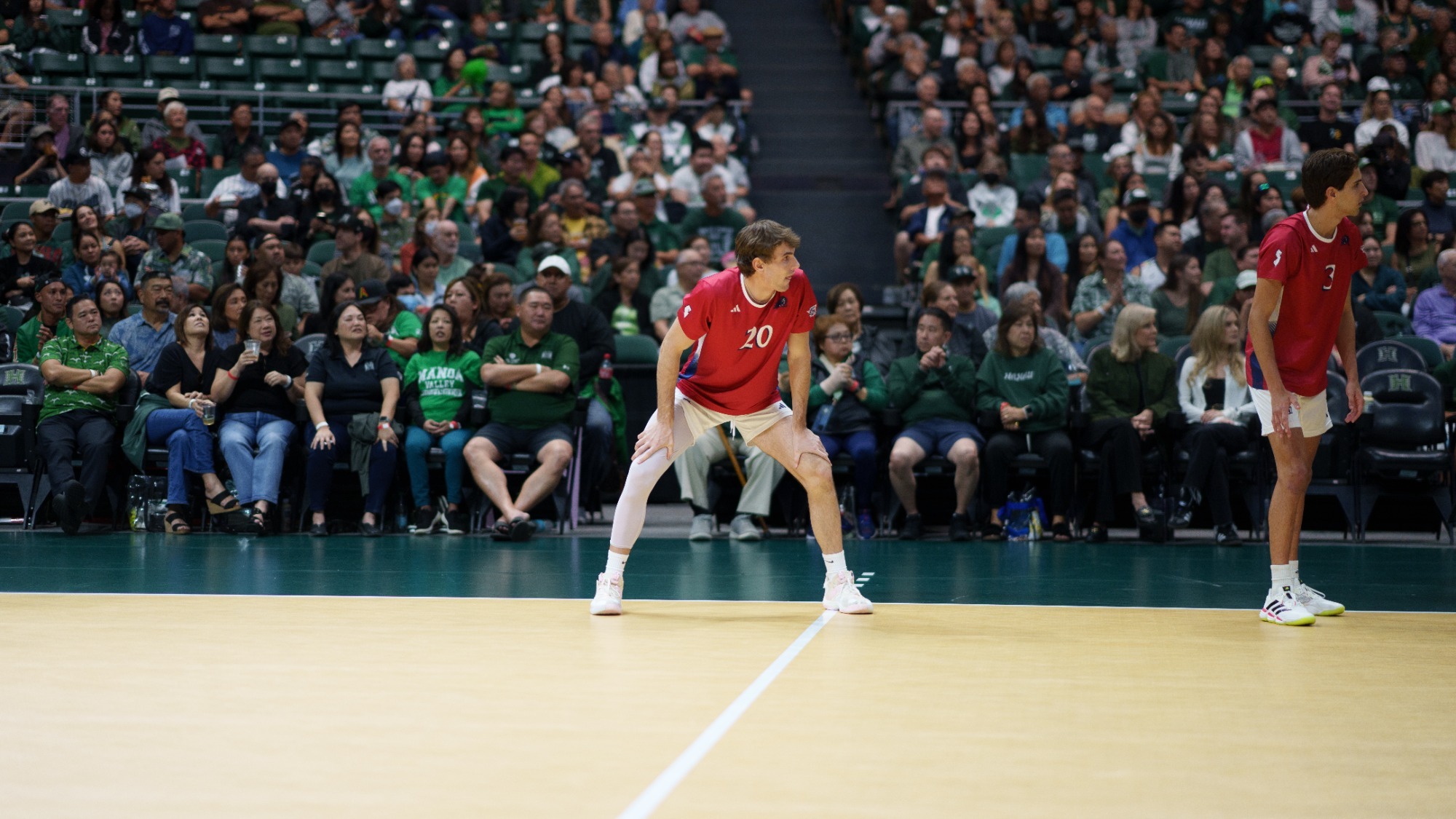 Andrew Fedmasu-Hawaii