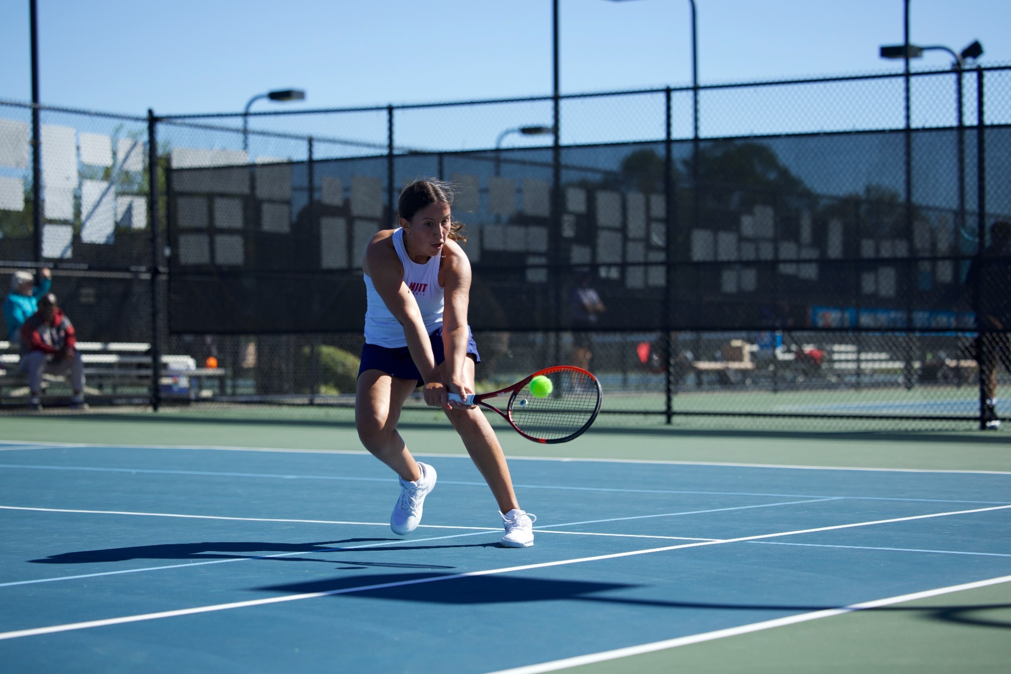 Diana-Fernandes-BigSouth