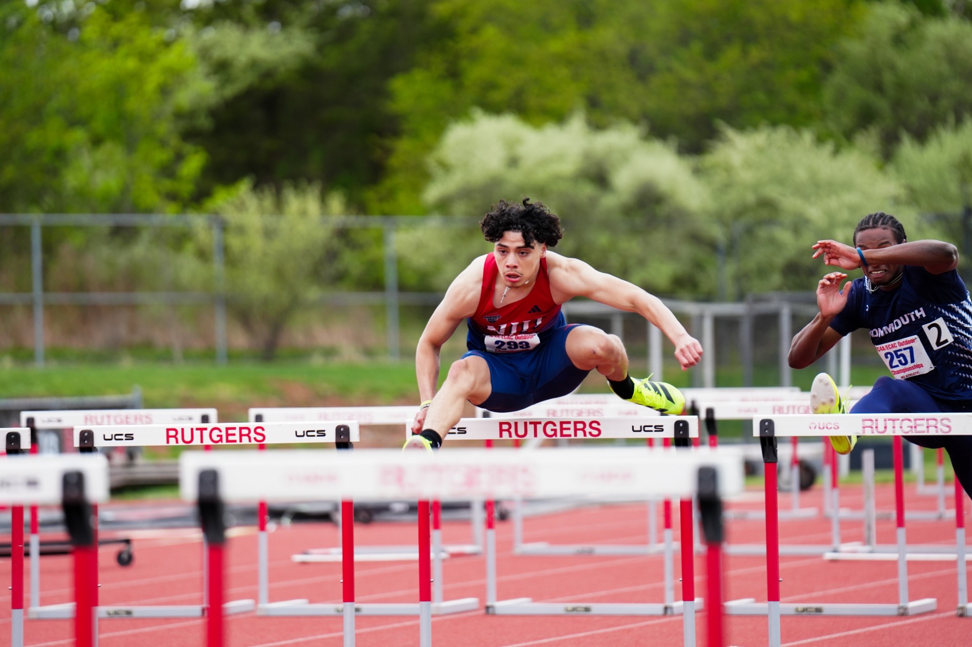 Alvarez-Hurdles