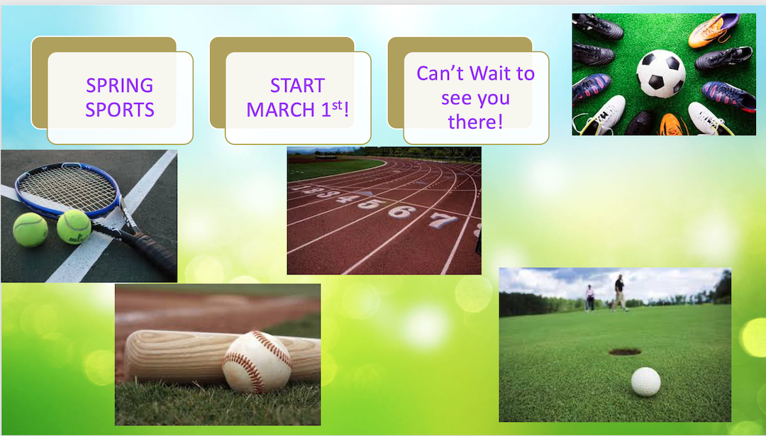 Spring sports preview