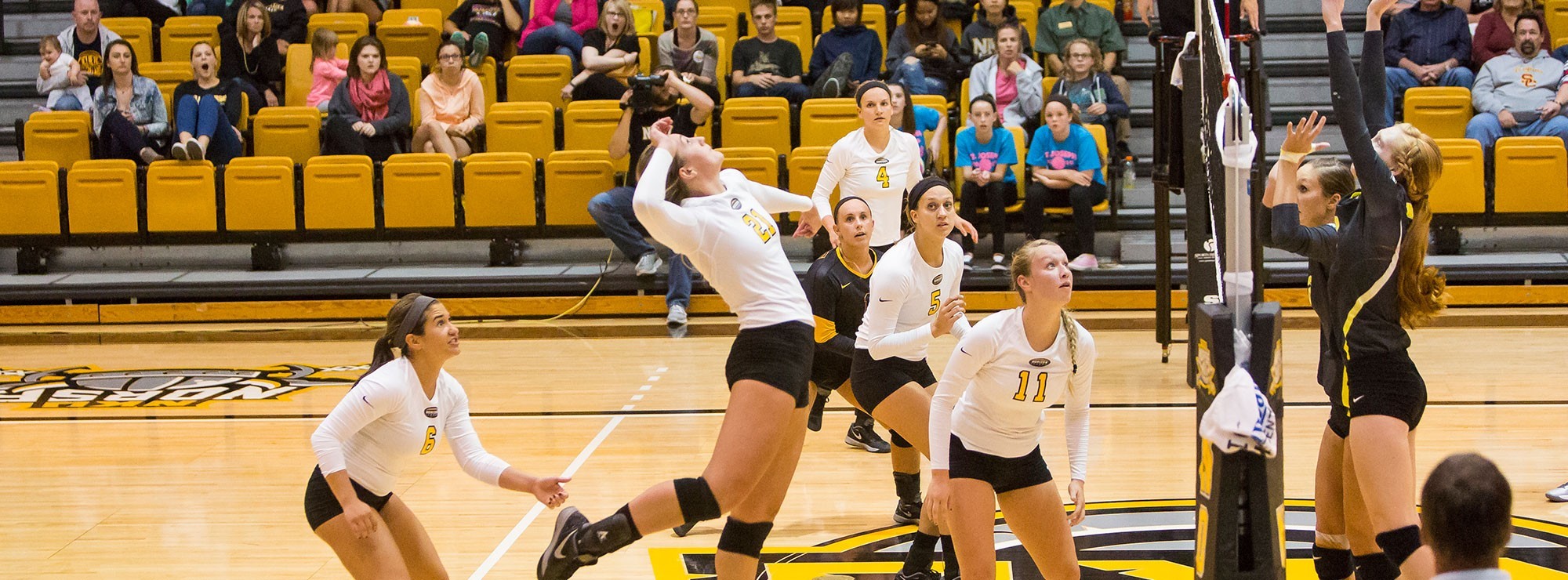 Jayden Julian Women's Volleyball Northern Kentucky University Athletics