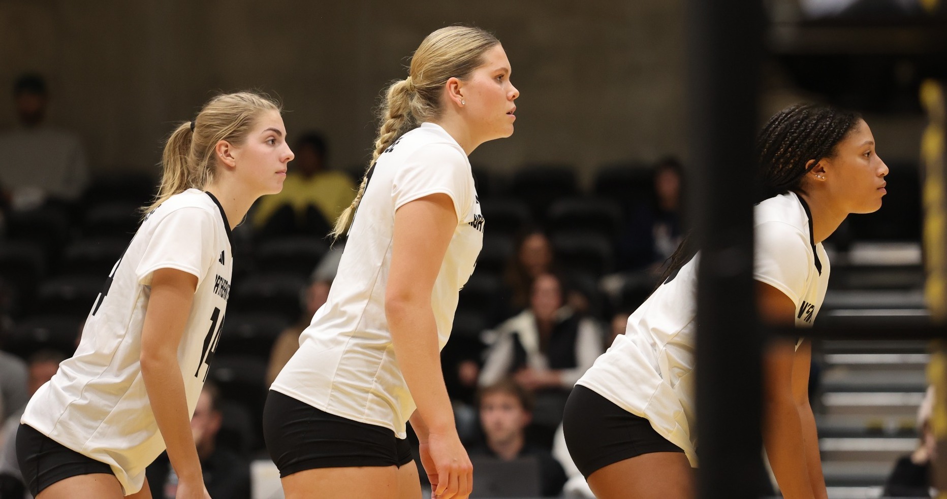 Norse Volleyball shows off grit in fiveset win over Wright State