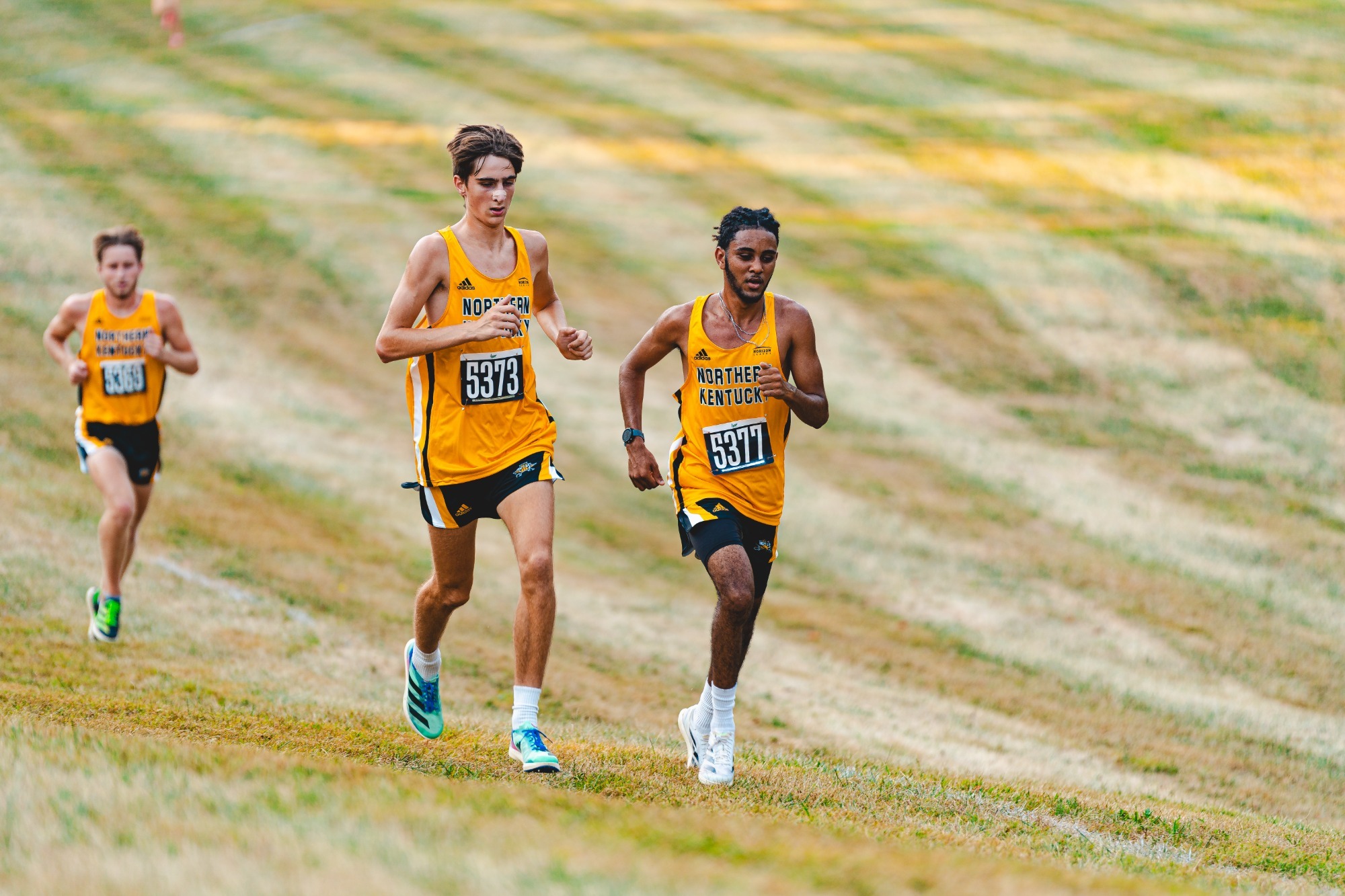 XC HL Preview