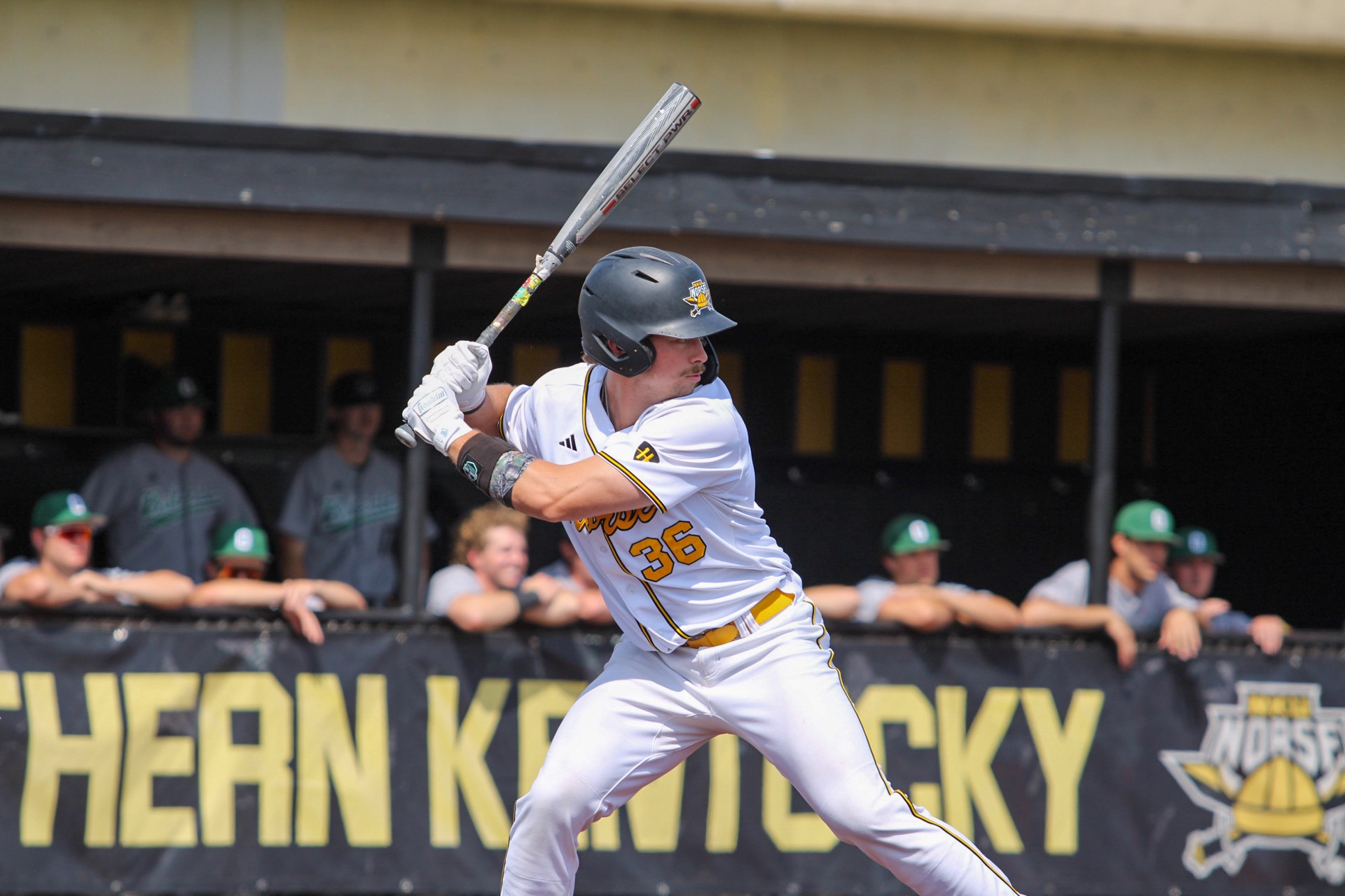Landon Springmeyer at bat